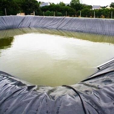 Dauerhafte Geomembran-Liner aus HDPE Landwirtschaftslandwirtschaftliche Teich-Liner für die sichere Zucht von Aquakultur