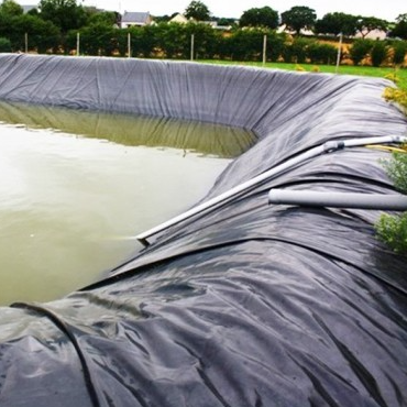 Wasserdichte HDPE-Geomembran-Folie zur Wurzelbarriere für die Isolierung gewerblicher Dachgärten