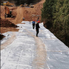High Quality High Strength Filament Woven Geotextile Fabric For Subgrade Reinforcement