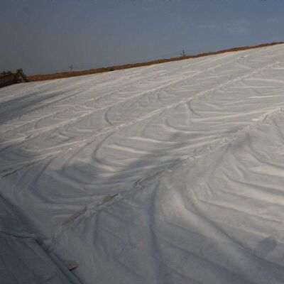 Geotextilien aus Polyester, aus kurzen Fasern, mit durchbohrter Nadel, nicht gewebt, zur Verstärkung von Gehwegen