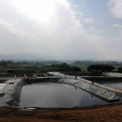Dauerhafte Geomembran-Liner aus HDPE Landwirtschaftslandwirtschaftliche Teich-Liner für die sichere Zucht von Aquakultur