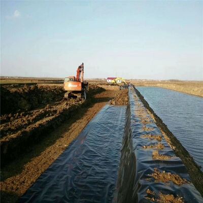 Fischsichere Geomembran-Liner aus HDPE für Landwirtschaftliche Bewässerungsbecken
