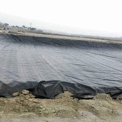 Wasserdichte HDPE-Geomembran-Teichfolie für die kommerzielle Fisch- und Garnelenaquakultur