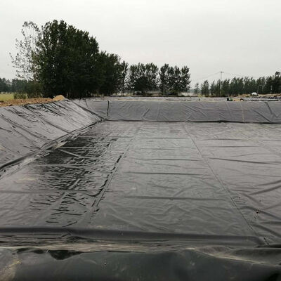 Bewässerungskanalauskleidung HDPE-Geomembranauskleidung für Wasserschutzkanäle