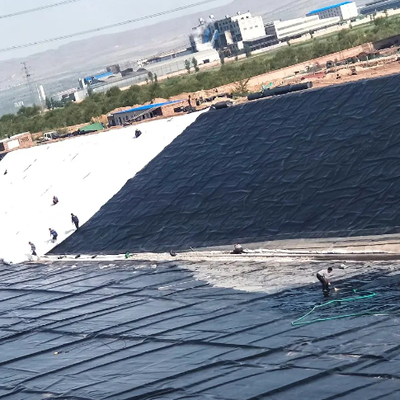 Black HDPE Geomembrane Pond Liner Sheet for Fish Farm Waterproofing
