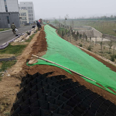 Schwarze grüne HDPE Geocell-Kies-Stabilisierung durchlöcherte