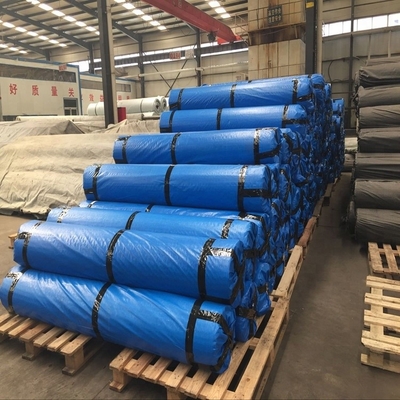 Schwarze Zement-Pflasterungs-Grundstabilisierung Mesh Fiberglass